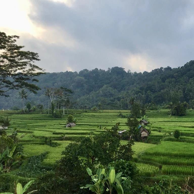 Ricefield Villa Living Room