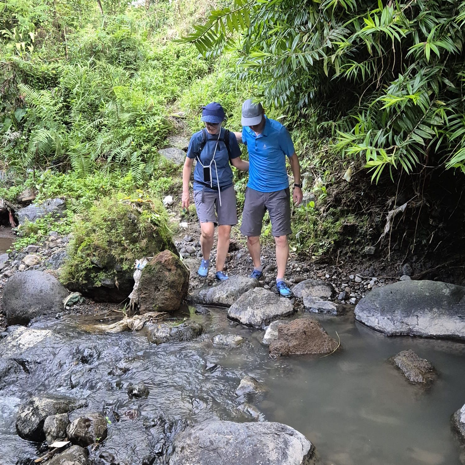 Nature Walks